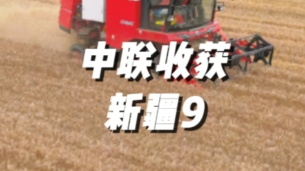 河南新密高師傅的中聯收獲新疆9搶收小麥作業視頻