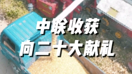 中聯收獲為農業服務，向二十大獻禮