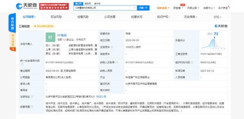 京東關聯電競公司戰略入股北京霓旌科技，業務版圖拓展至經濟信息咨詢新領域